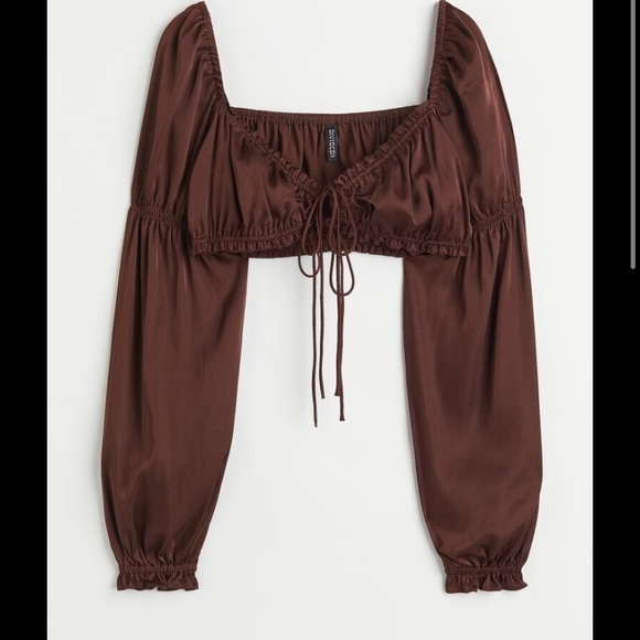 Divided H&M Romantic Satin Crop Top Long Sleeve Size Small - Picture 1 of 14